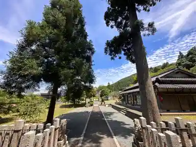 櫻神社(福井県)