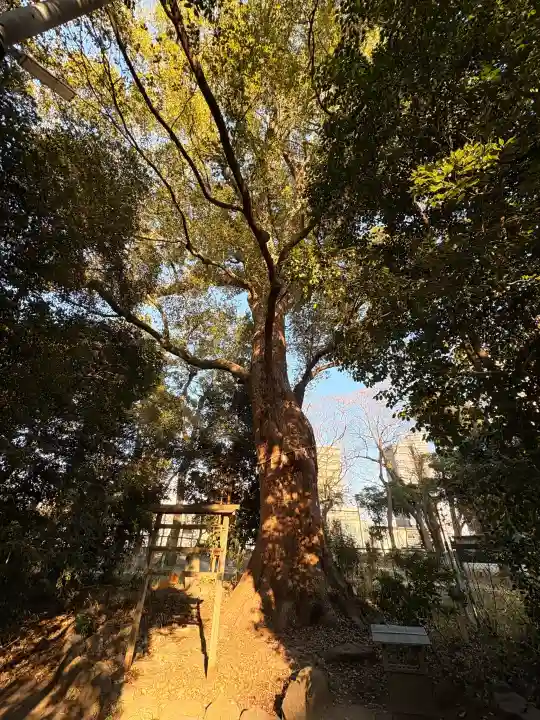 高座結御子神社(熱田神宮摂社)の{uncategorized: "未分類", other: "その他", undefined: "問題あり", building: "その他建物", grave: "お墓", sacred_gate: "鳥居", guardian: "狛犬", statue: "像", buddha: "仏像", history: "歴史", nature: "自然", garden: "庭園", animal: "動物", pagoda: "塔", temizu: "手水舎", mountain_gate: "山門・神門", sanctuary: "本殿・本堂", subordinate: "末社・摂社", art: "芸術", scenery: "景色", jizo: "地蔵", ema: "絵馬", goshuin: "御朱印", omikuji: "おみくじ", items: "授与品その他", amulet: "お守り", goshuincho: "御朱印帳", eats: "食事", festival: "お祭り", votive_dance: "神楽", shichigosan: "七五三参", wedding: "結婚式", experience: "体験その他", initially: "初詣", around: "周辺", anti_infection: "感染症対策"}