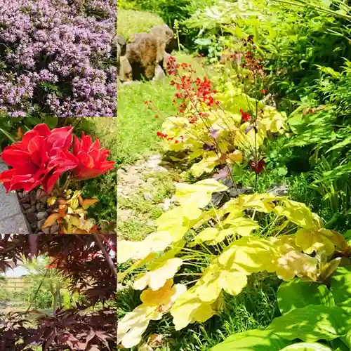 寿量山　速成寺の自然