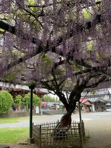 慈恩寺(埼玉県)