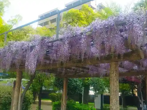 本成寺(大阪府)