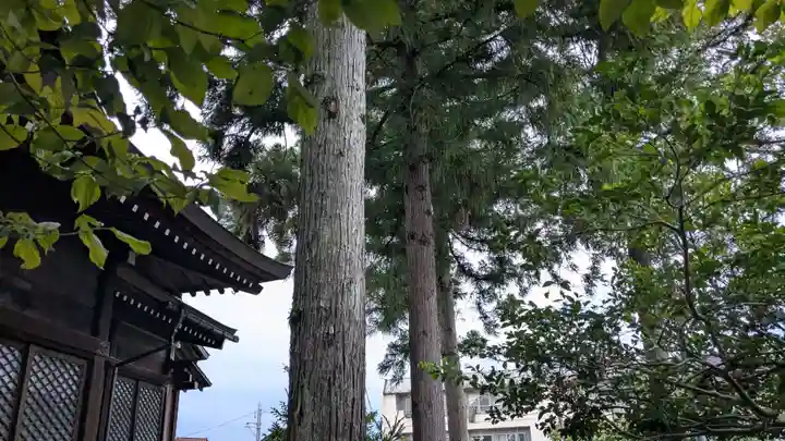 奥田神社の自然