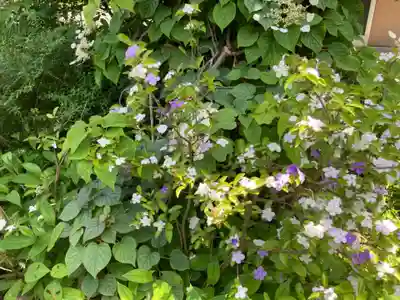 大巧寺(神奈川県)