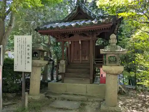 玉井宮東照宮(岡山県)