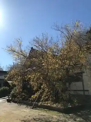 横浜　西方寺のその他建物