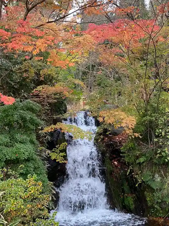 富士山東口本宮 冨士浅間神社の自然