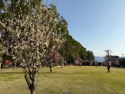 美奈宜神社(福岡県)