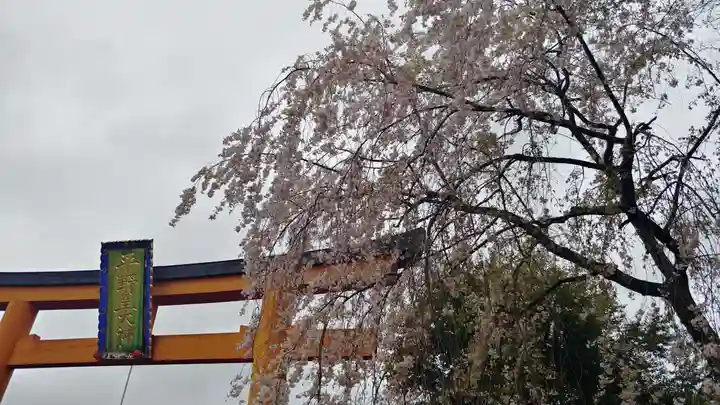 平野神社の自然