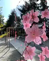 滑川神社 - 仕事と子どもの守り神の庭園