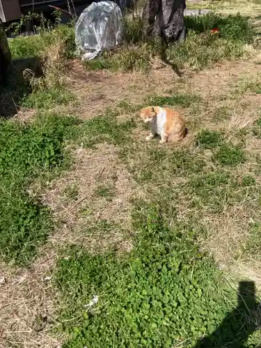 光明院(神奈川県)