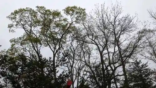 幕別神社の自然