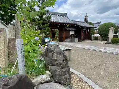 大松禅寺(京都府)