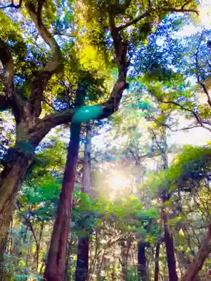 鹿島神宮(茨城県)