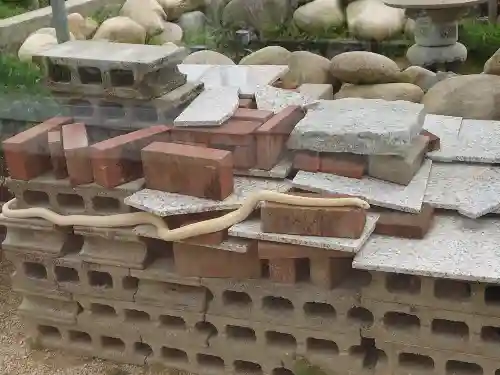 岩国白蛇神社(山口県)