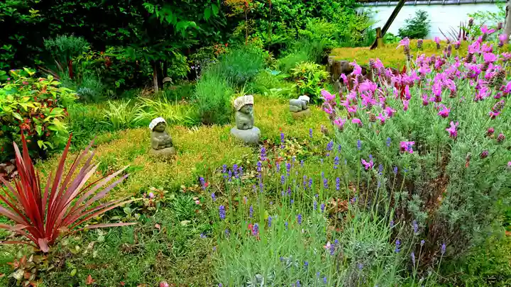 寿量山 速成寺の自然