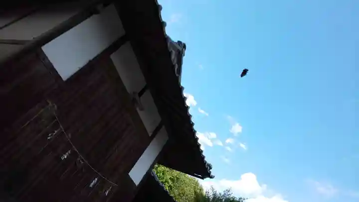 稗田野神社(薭田野神社)(京都府)