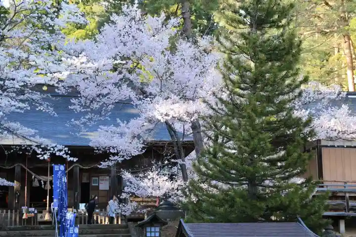 土津神社|こどもと出世の神さまの景色
