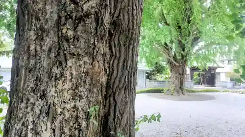 星谷寺(神奈川県)