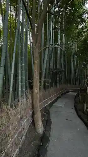 報国寺(神奈川県)