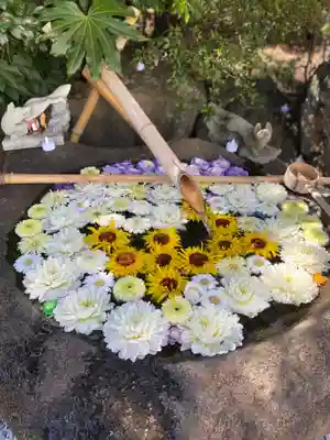 東京羽田 穴守稲荷神社の手水舎