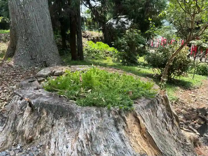 天宮神社(静岡県)