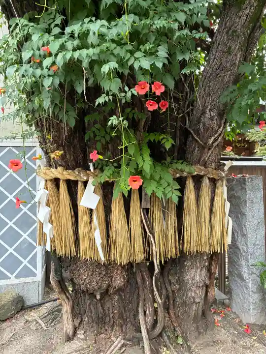 櫛田神社(福岡県)