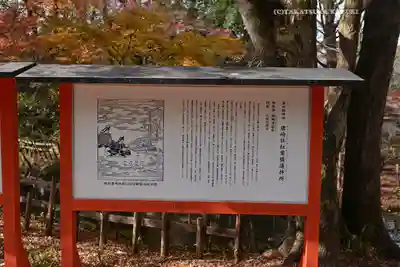 賀茂御祖神社（下鴨神社）(京都府)