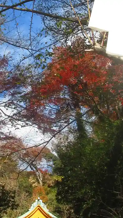 雷神社(神奈川県)