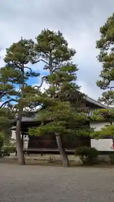 廬山寺(廬山天台講寺)(京都府)