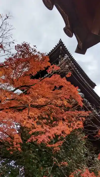 真正極楽寺(真如堂)(京都府)