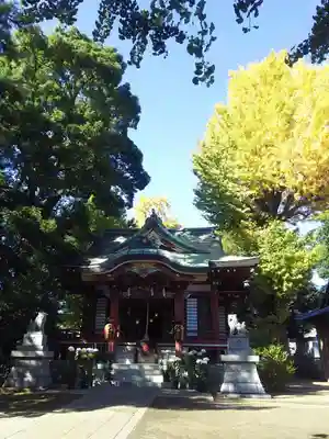柴又八幡神社の本殿・本堂