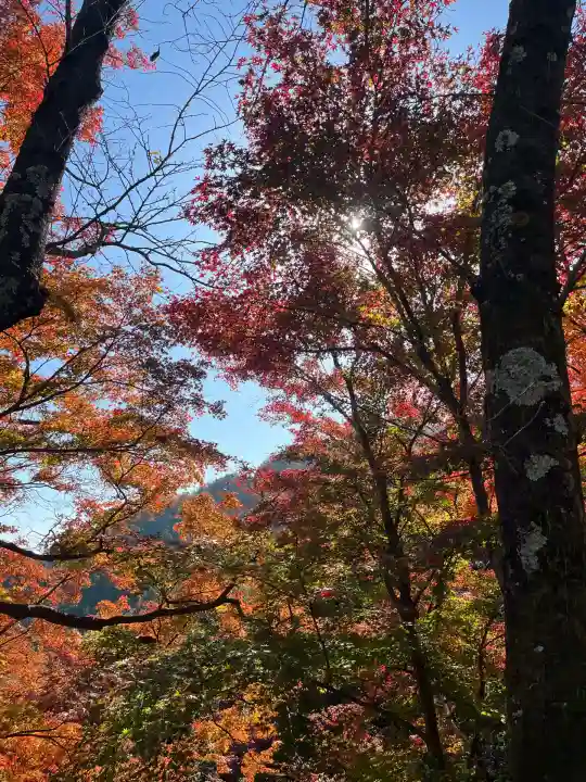 行基寺(岐阜県)