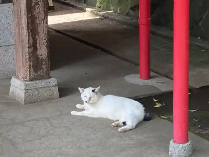 菊名池弁財天(神奈川県)