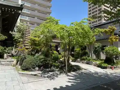 善導寺の{uncategorized: "未分類", other: "その他", undefined: "問題あり", building: "その他建物", grave: "お墓", sacred_gate: "鳥居", guardian: "狛犬", statue: "像", buddha: "仏像", history: "歴史", nature: "自然", garden: "庭園", animal: "動物", pagoda: "塔", temizu: "手水舎", mountain_gate: "山門・神門", sanctuary: "本殿・本堂", subordinate: "末社・摂社", art: "芸術", scenery: "景色", jizo: "地蔵", ema: "絵馬", goshuin: "御朱印", omikuji: "おみくじ", items: "授与品その他", amulet: "お守り", goshuincho: "御朱印帳", eats: "食事", festival: "お祭り", votive_dance: "神楽", shichigosan: "七五三参", wedding: "結婚式", experience: "体験その他", initially: "初詣", around: "周辺", anti_infection: "感染症対策"}