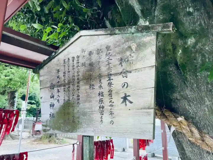 白山神社(二子町)のその他建物
