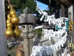 常泉寺のおみくじ