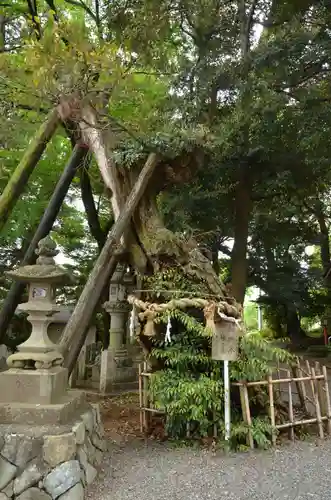 川尻八幡宮(神奈川県)