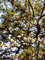 玄国寺(東京都)