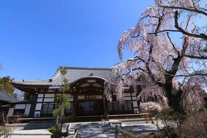 円通寺の本殿・本堂