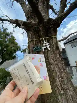 幸國寺の{uncategorized: "未分類", other: "その他", undefined: "問題あり", building: "その他建物", grave: "お墓", sacred_gate: "鳥居", guardian: "狛犬", statue: "像", buddha: "仏像", history: "歴史", nature: "自然", garden: "庭園", animal: "動物", pagoda: "塔", temizu: "手水舎", mountain_gate: "山門・神門", sanctuary: "本殿・本堂", subordinate: "末社・摂社", art: "芸術", scenery: "景色", jizo: "地蔵", ema: "絵馬", goshuin: "御朱印", omikuji: "おみくじ", items: "授与品その他", amulet: "お守り", goshuincho: "御朱印帳", eats: "食事", festival: "お祭り", votive_dance: "神楽", shichigosan: "七五三参", wedding: "結婚式", experience: "体験その他", initially: "初詣", around: "周辺", anti_infection: "感染症対策"}