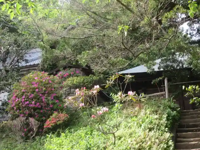 浄光明寺(神奈川県)