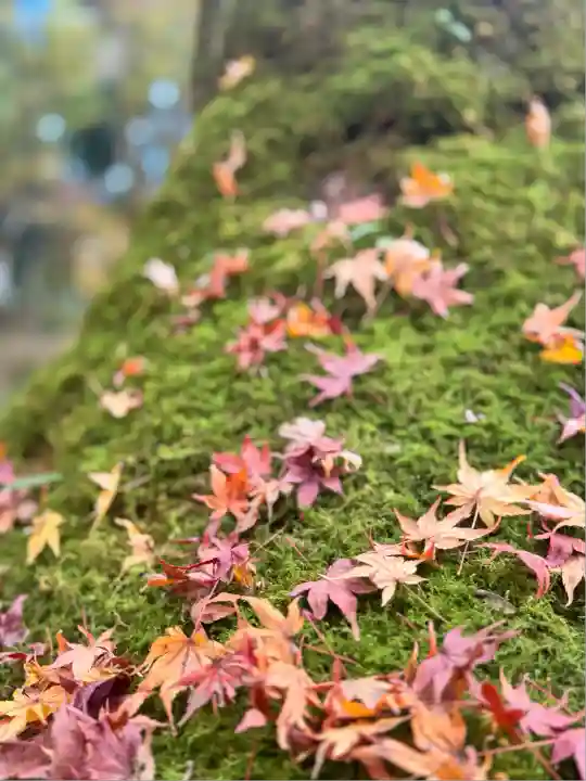 高源寺(兵庫県)