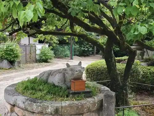 臂岡天満宮の狛犬