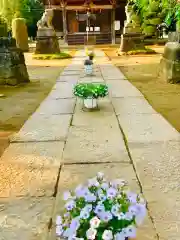 伏木香取神社の建物その他