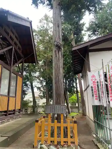 駒形神社(群馬県)