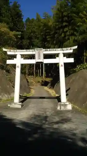 武生神社の鳥居