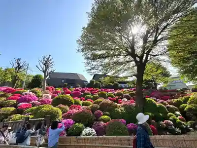 根津神社の{uncategorized: "未分類", other: "その他", undefined: "問題あり", building: "その他建物", grave: "お墓", sacred_gate: "鳥居", guardian: "狛犬", statue: "像", buddha: "仏像", history: "歴史", nature: "自然", garden: "庭園", animal: "動物", pagoda: "塔", temizu: "手水舎", mountain_gate: "山門・神門", sanctuary: "本殿・本堂", subordinate: "末社・摂社", art: "芸術", scenery: "景色", jizo: "地蔵", ema: "絵馬", goshuin: "御朱印", omikuji: "おみくじ", items: "授与品その他", amulet: "お守り", goshuincho: "御朱印帳", eats: "食事", festival: "お祭り", votive_dance: "神楽", shichigosan: "七五三参", wedding: "結婚式", experience: "体験その他", initially: "初詣", around: "周辺", anti_infection: "感染症対策"}