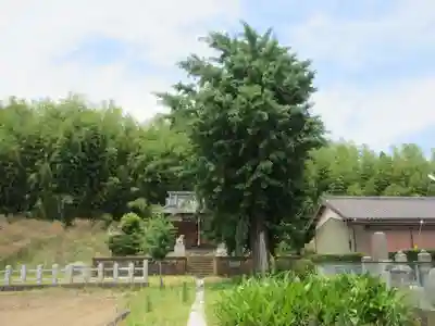 八幡宮(埼玉県)