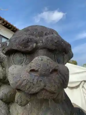 菖蒲神社の狛犬