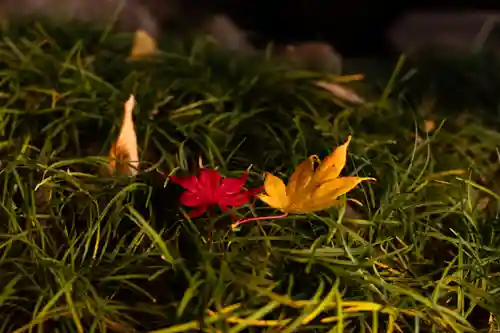 諏訪大社下社秋宮(長野県)